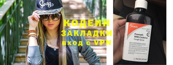 прущие грибы Мегион
