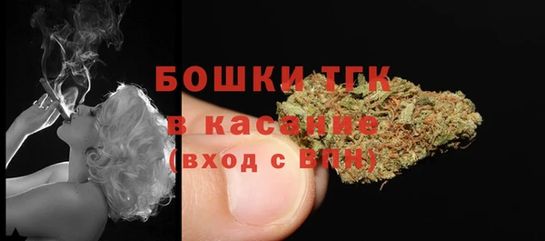 прущие грибы Мегион