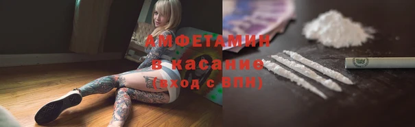 прущие грибы Мегион