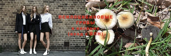 крисы Медногорск