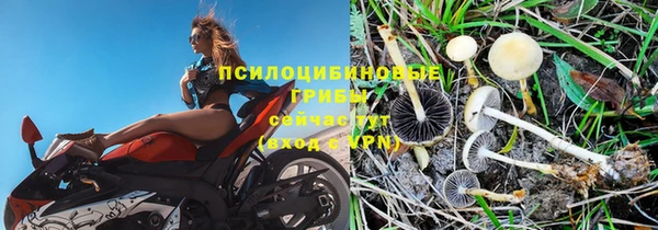 сатива Михайловка