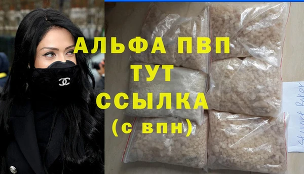 СК Михайлов